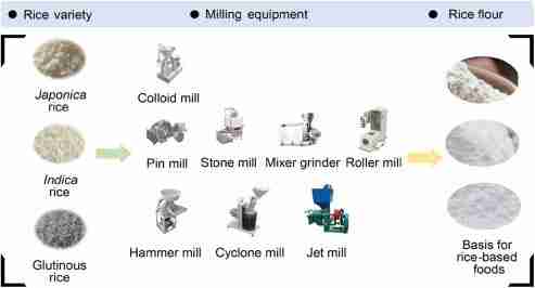 Harvesting Gold: The World of Rice Mill Plants 3 Sustainable Practices in Rice Milling Industry