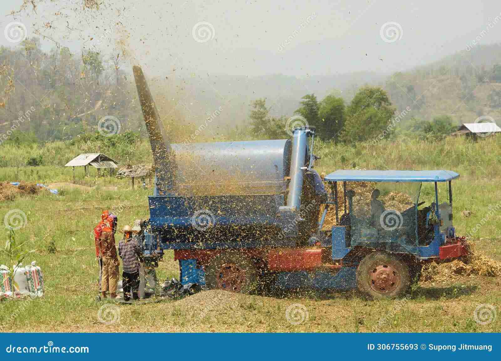 The Art of Rice Milling: Transforming Grains into Gold