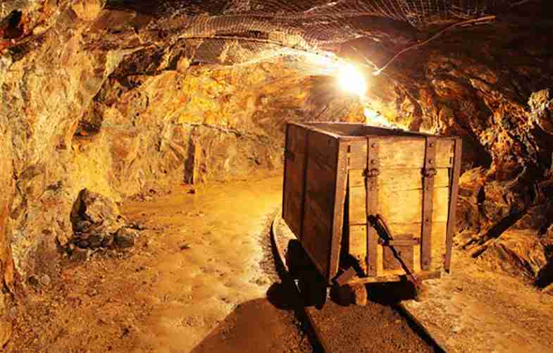 Harvesting Gold: The World of Rice Mill Plants