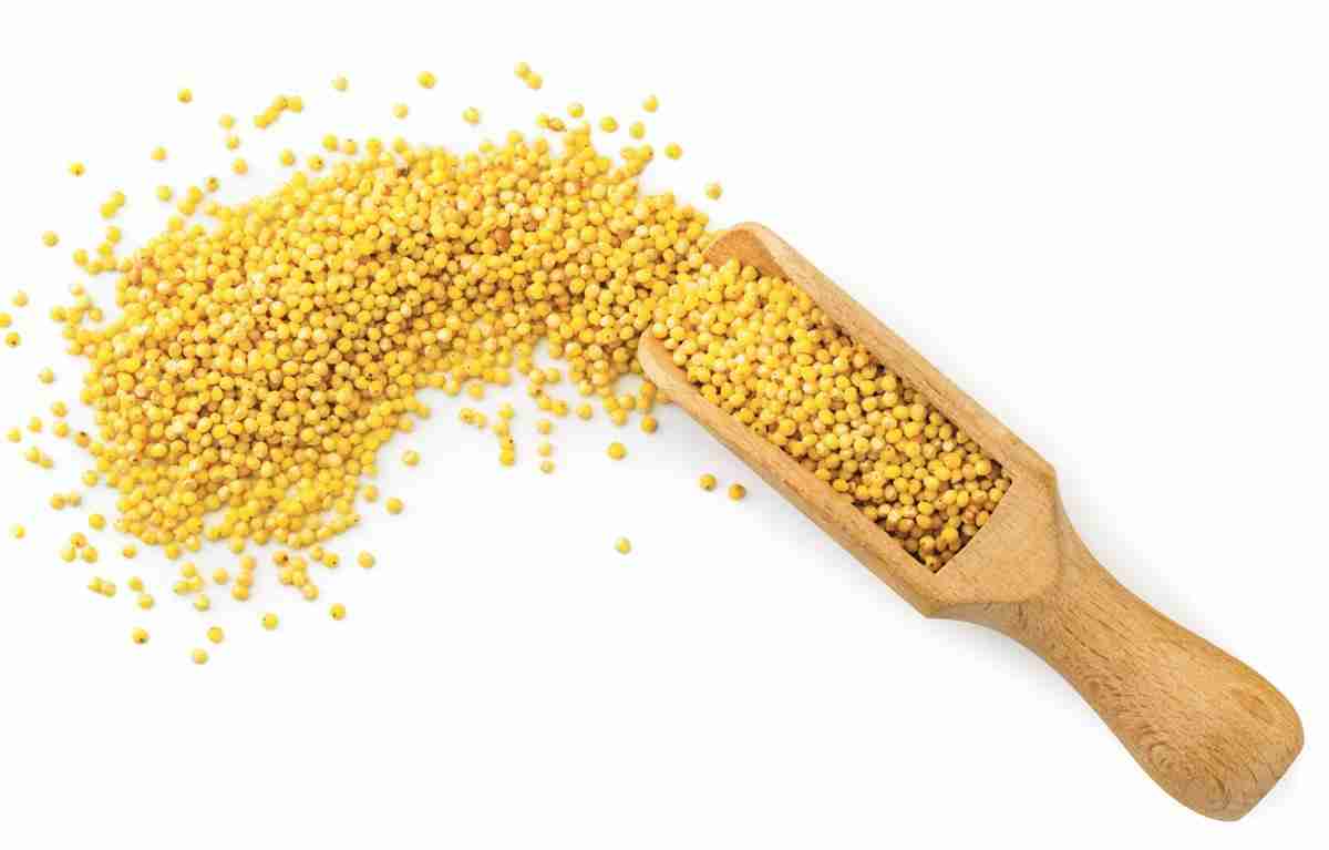 The Tiny Grain Revolution: Mini Rice Milling Machine Takes Agri-tech by Storm