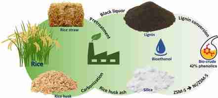 Transforming Paddy into Profit: The 2 Ton Rice Mill Project