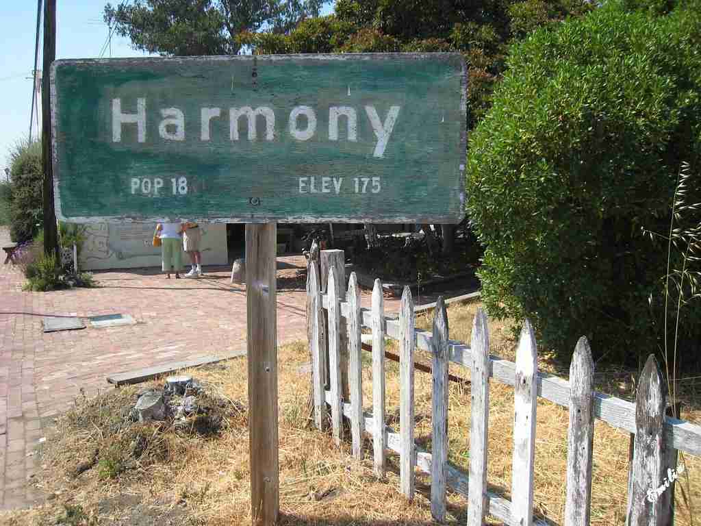 The Harmony of Grains: Exploring the Combined Rice Mill