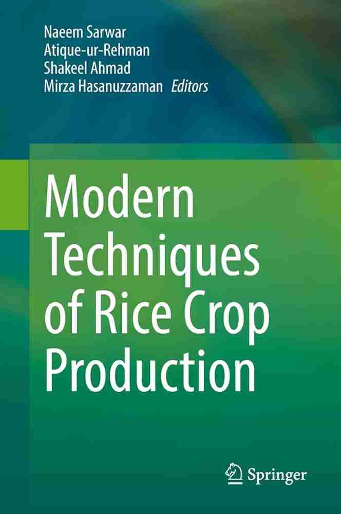 The Magic of Modern Rice Mills