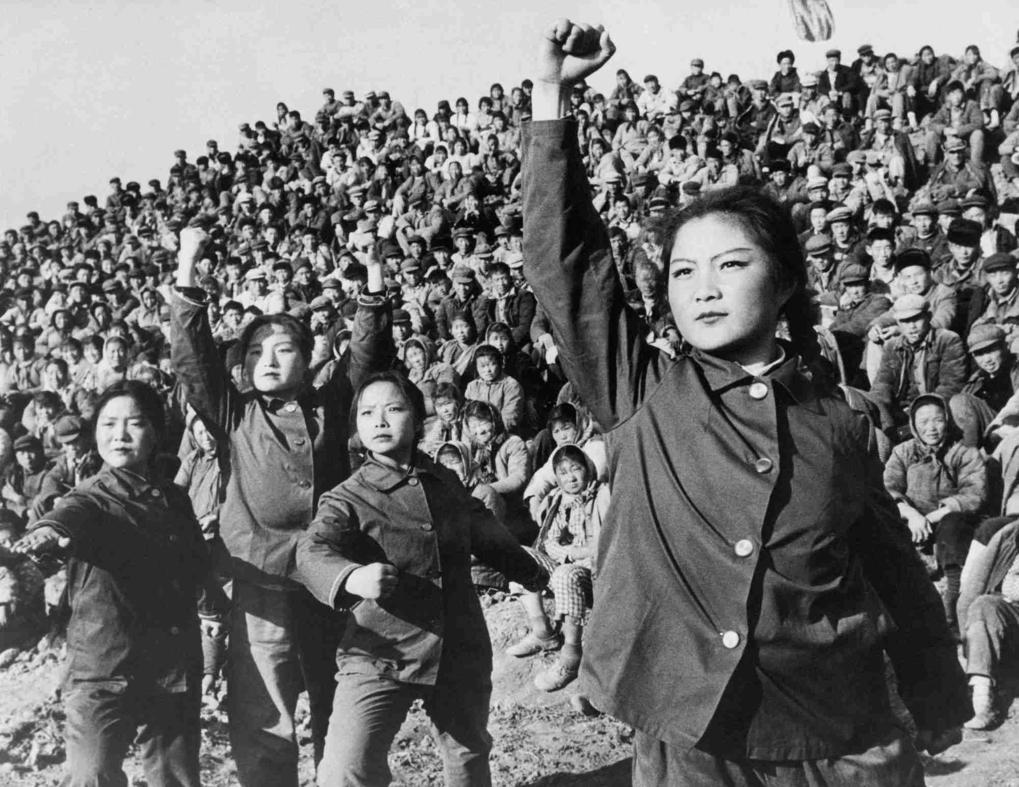 The Revolution of Rice Processing: Enhancing Efficiency