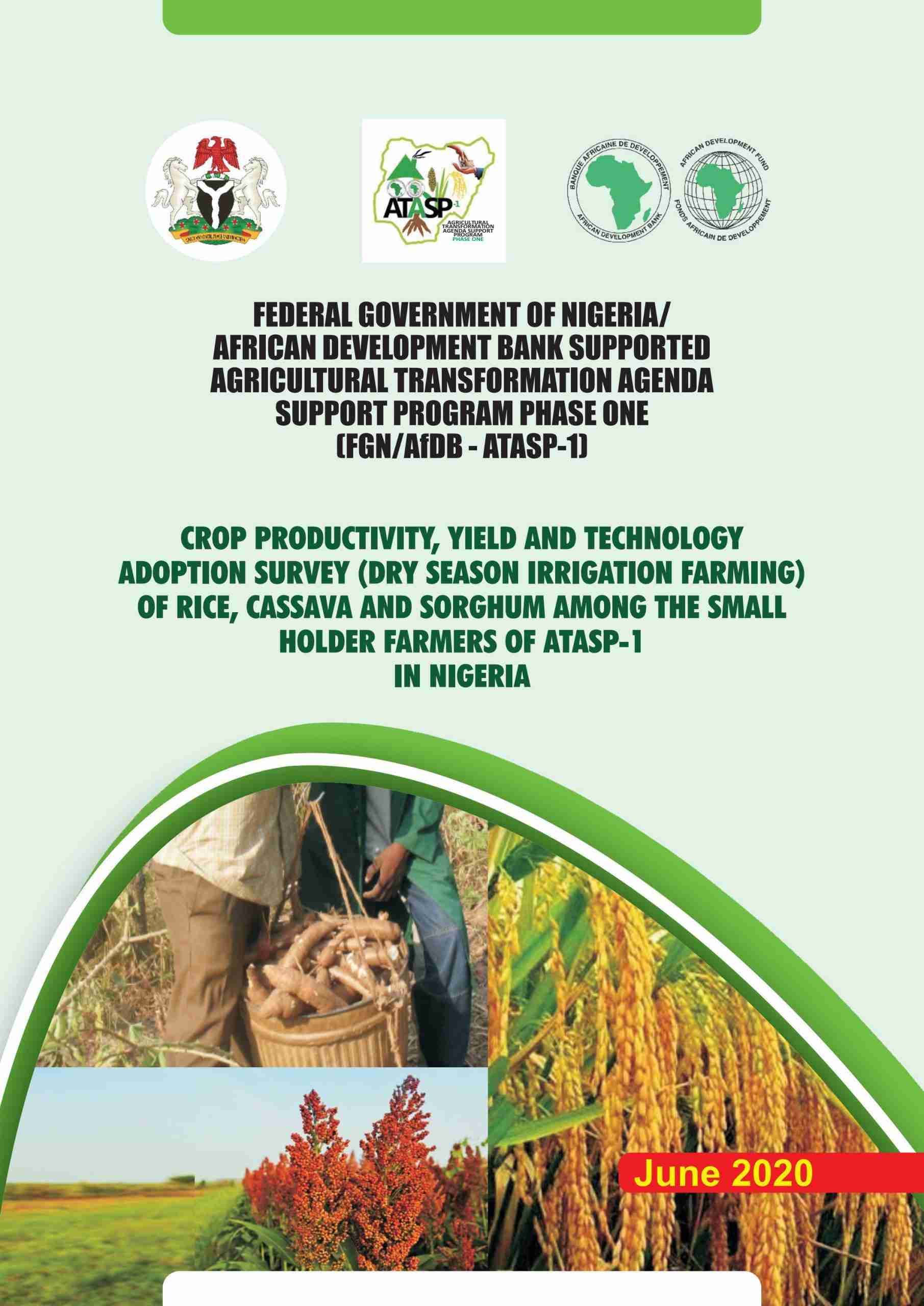 Unveiling the Efficiency of the 5 Ton Rice Mill