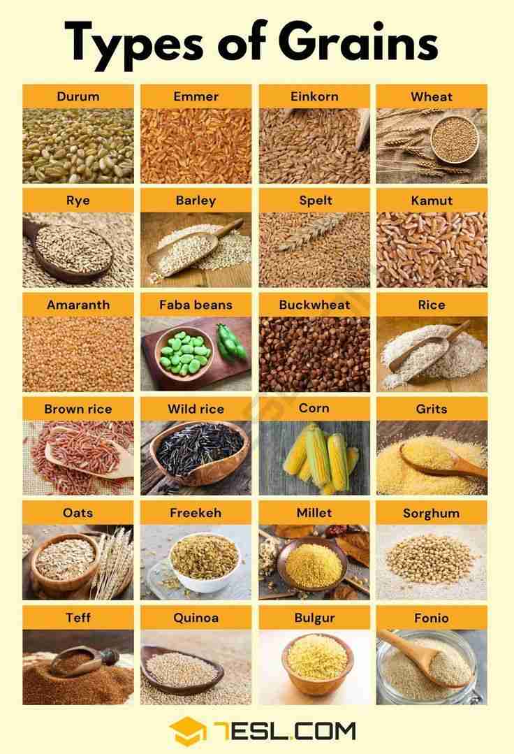 Grain to Glory: The Art of Rice Milling Unit