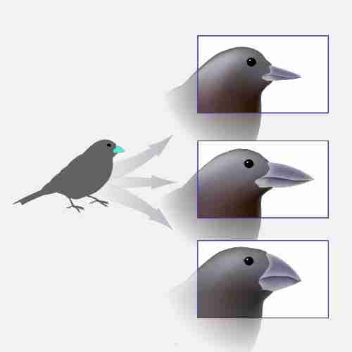 The Evolution of Rice Machinery: Innovation in Agricultural Technology