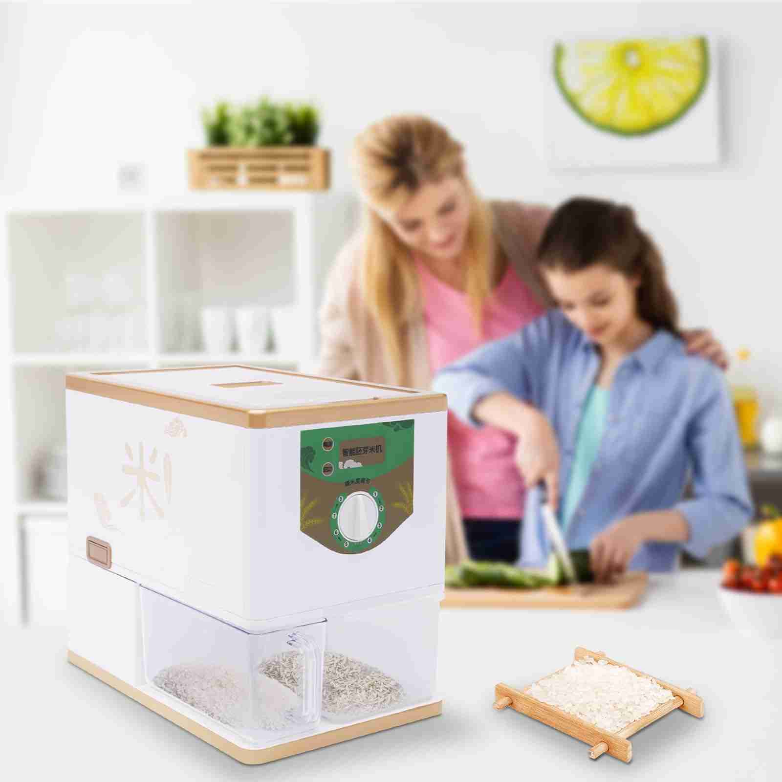 Mini Marvels: The World of Small Rice Mills 1 Features of Mini Marvels: Small Rice Mills