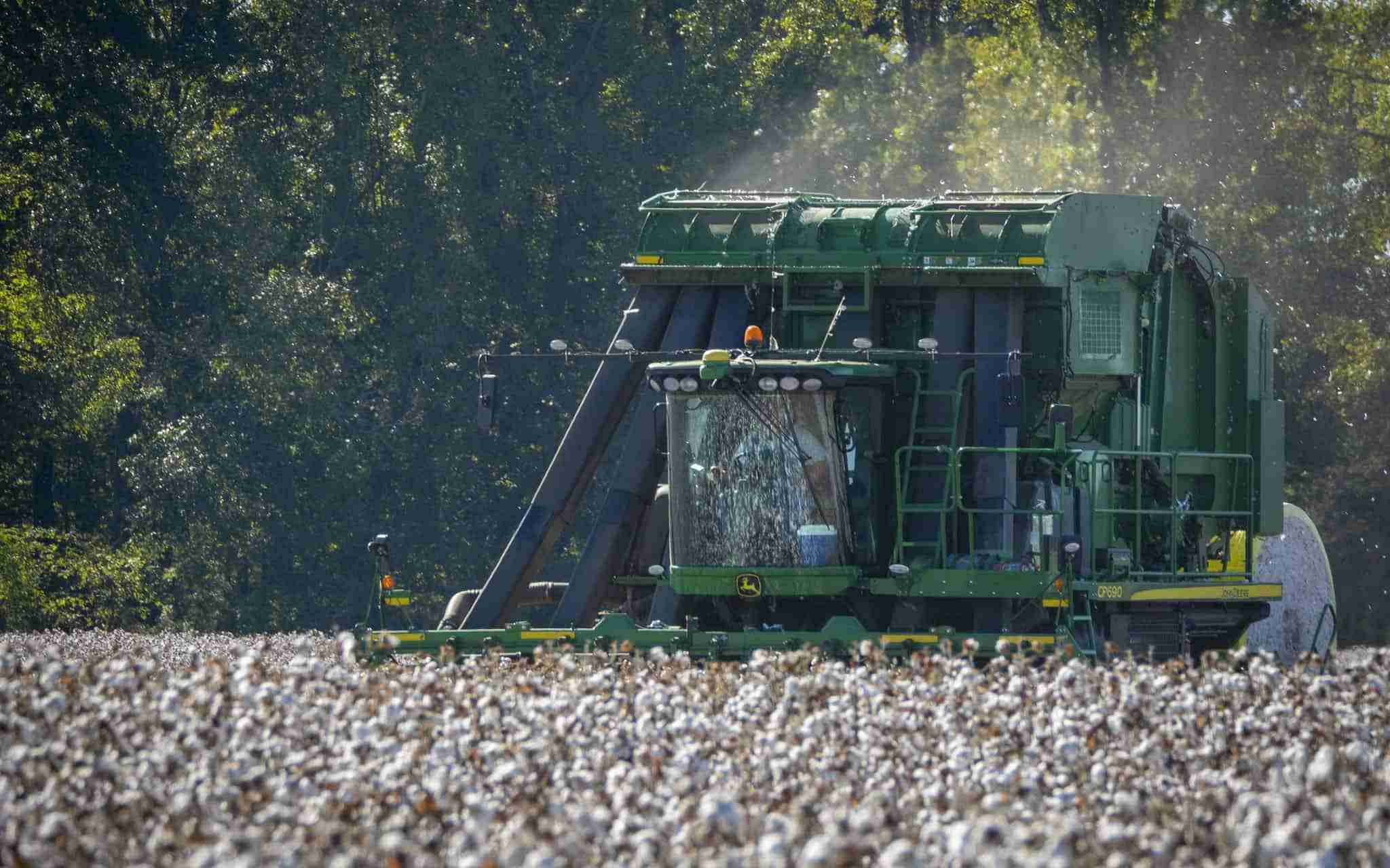 From Seed to Table: The Fascinating World of Corn Processing 4 Exploring Sustainable Practices in the Corn Industry
