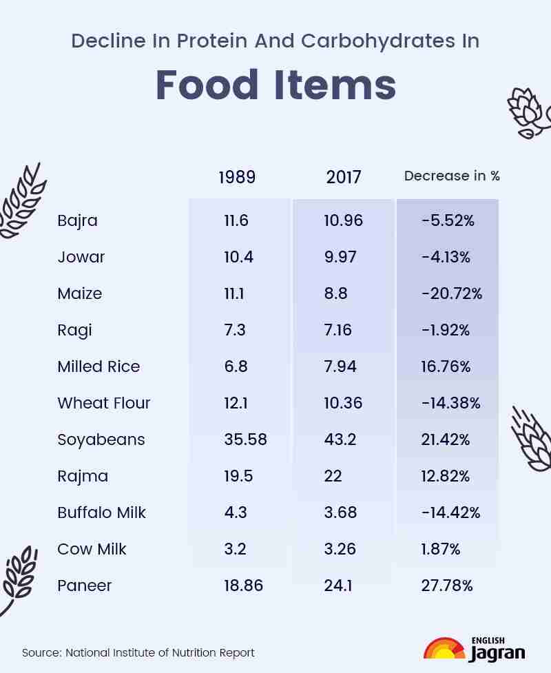 The Art of Corn Processing: Unleashing the Potential of a Staple Crop 2 Enhancing Nutritional Value through Corn Processing Methods