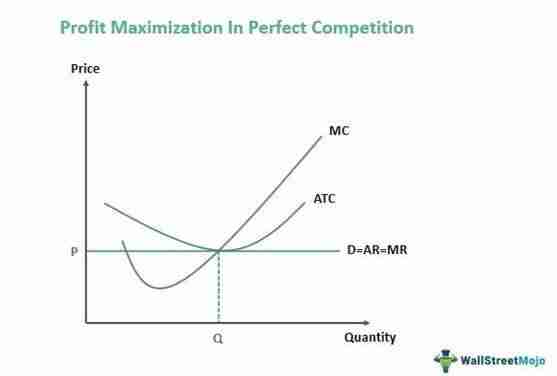 The Art of Rice Milling: Boosting Efficiency in Production 1 Maximizing Yield Through Proper Grain Selection