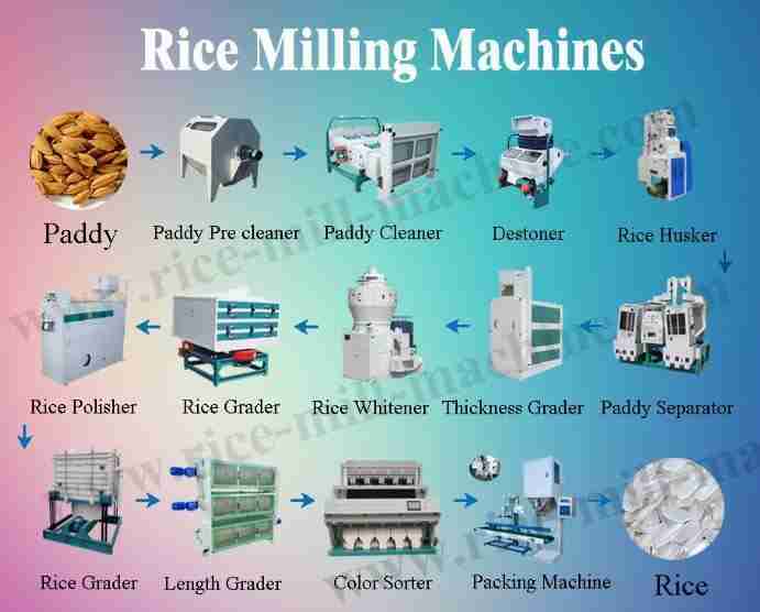 The Innovation of Paddy Processing: Unveiling the Modern Machine 3 Key Features to Consider When Investing in Paddy Processing Equipment