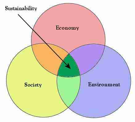 The Tiny Powerhouse: Small Rice Mills Revolutionizing Agriculture 3 Sustainability and Environmental Impact: Benefits of Adopting Small Rice Mills