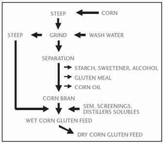 Unveiling the Art of Corn Processing 3 Unlocking the Secrets of Dry Corn Processing