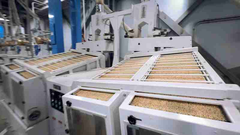 The Magic of Mini Rice Mills: Small but Mighty in the World of Agriculture 1 Unlocking the Potential: How Mini Rice Mills are Revolutionizing Agriculture