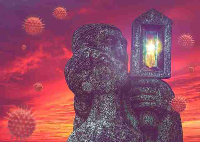 The Art of Transforming Paddy: Inside a Modern Processing Unit 2 Optimizing Efficiency and Quality in Paddy Transformation