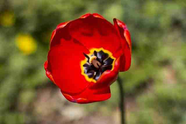 The Pinnacle of Efficiency: Inside a Rice Milling Unit 2 Maximizing Yield and Quality with Modern Equipment