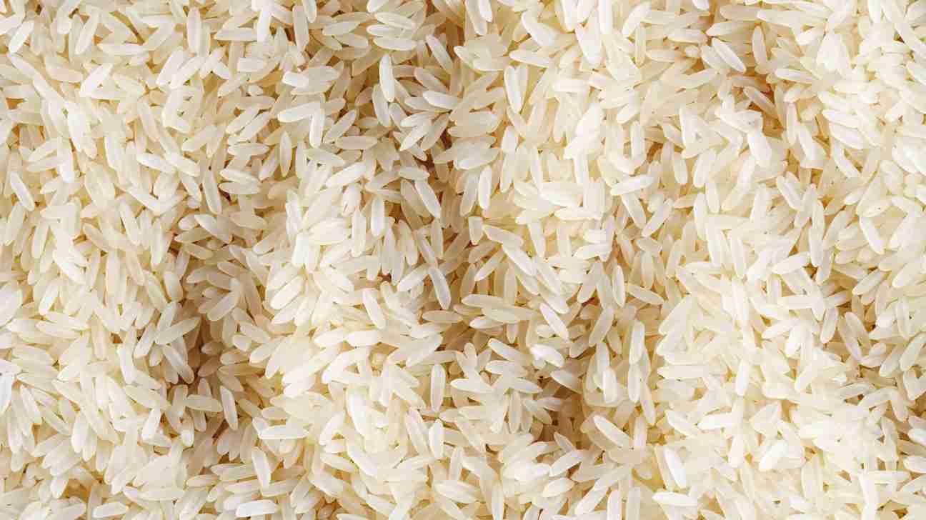The Magic of Parboiled Rice: Inside a Processing Plant 1 Unveiling the Transformative Process of Parboiled Rice
