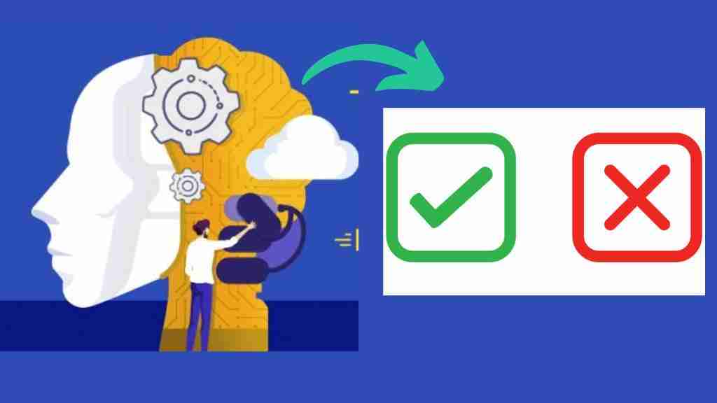 Breaking Ground: The 2 Ton Rice Mill Project Unveiled 3 Key Recommendations for Implementing the 2 Ton Rice Mill Project