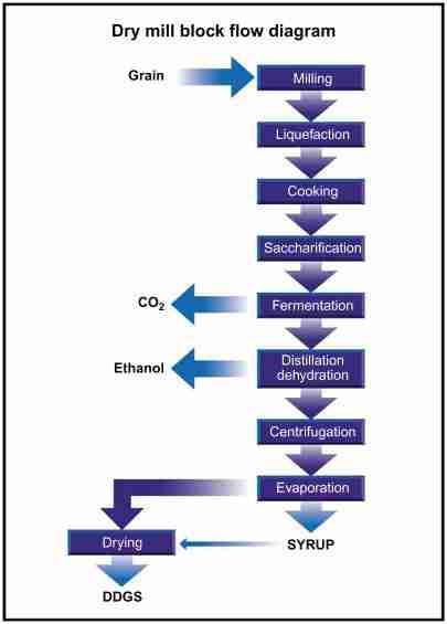 From Grain to Flour: The Art and Science of Maize Milling 1 Understanding the Maize Milling Process from Seed to Sifted Flour