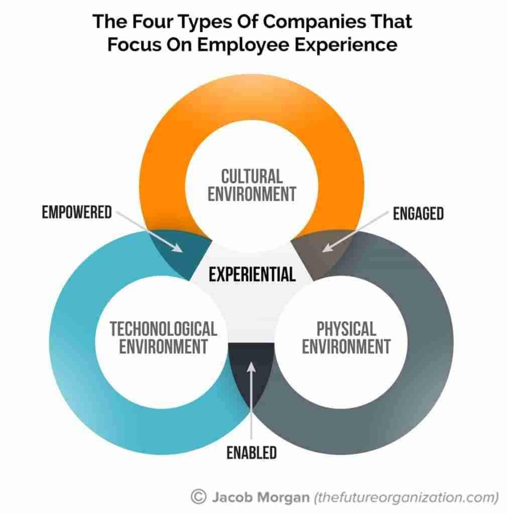 Exploring the Efficiency of Mini Rice Mill Plants for Small Farms 3 Enhancing Productivity: Best Practices for Operation
