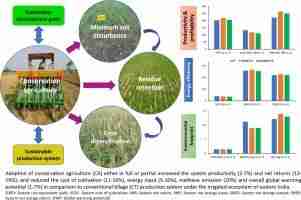 Innovative Processes for Quality Rice Production