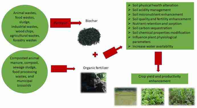 The Art of Cereal Crafting: From Field to Bowl 2 Utilizing Sustainable Practices: Nurturing the Environment for Quality Crops