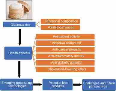 Revolutionizing Grain Processing: The Fully Automatic Rice Mill 2 Essential Features of Advanced Fully Automatic Rice Mills