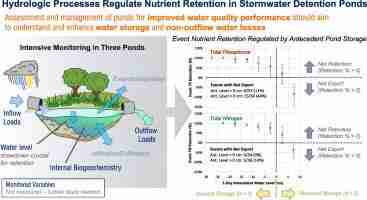 Streamlining Nutrition: Inside a Parboiled Rice Processing Plant 2 Nutritional Retention: The Science Behind Parboiling
