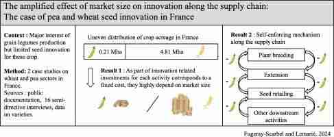 Grain-Sized Innovation: The Mini Rice Mill