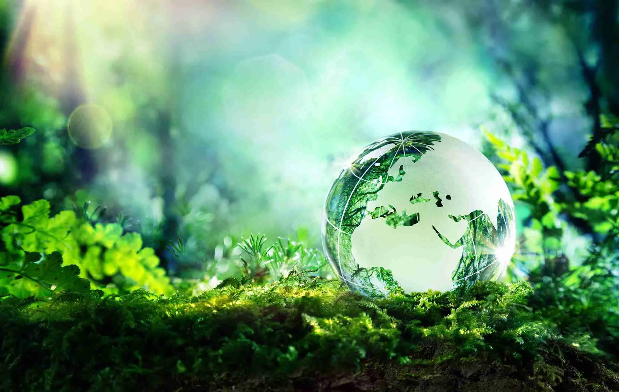 Sustainability Practices in Rice Processing: Aligning with Environmental Goals