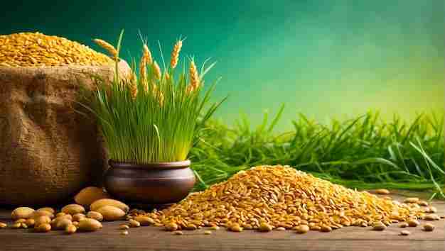 Transforming Grains: The Rise of Mini Rice Milling Machines