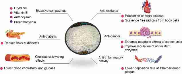 Revolutionizing Grain Processing: The Mini Rice Mill Unveiled