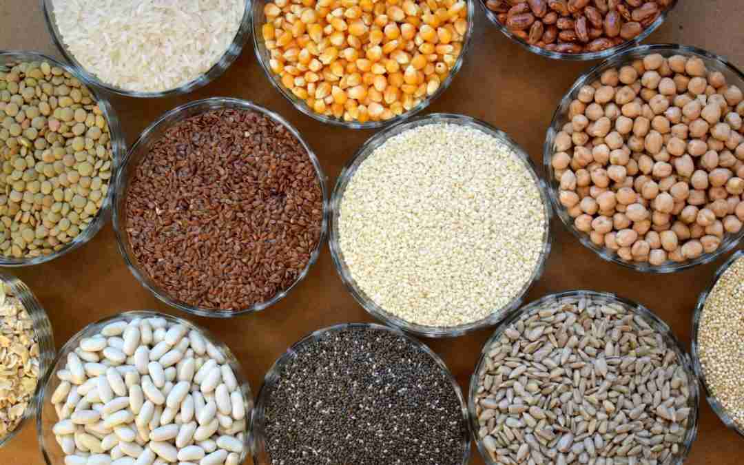 Transforming Grains: The Rise of Mini Rice Mill Plants