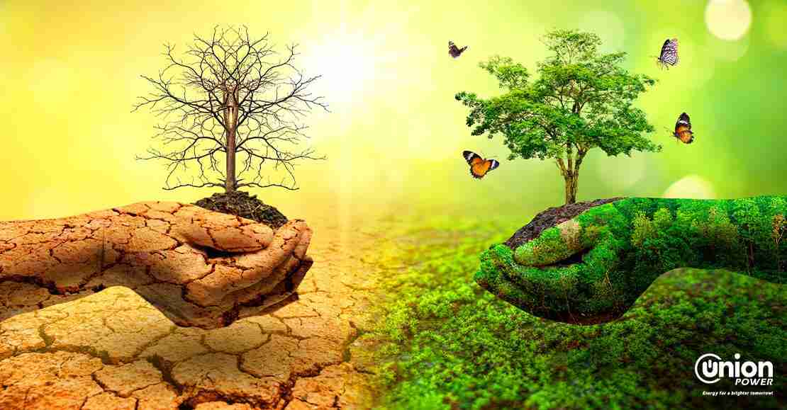 Transforming Grains: The Journey of Parboiled Rice Processing 3 Sustainable Practices in Parboiled Rice Processing