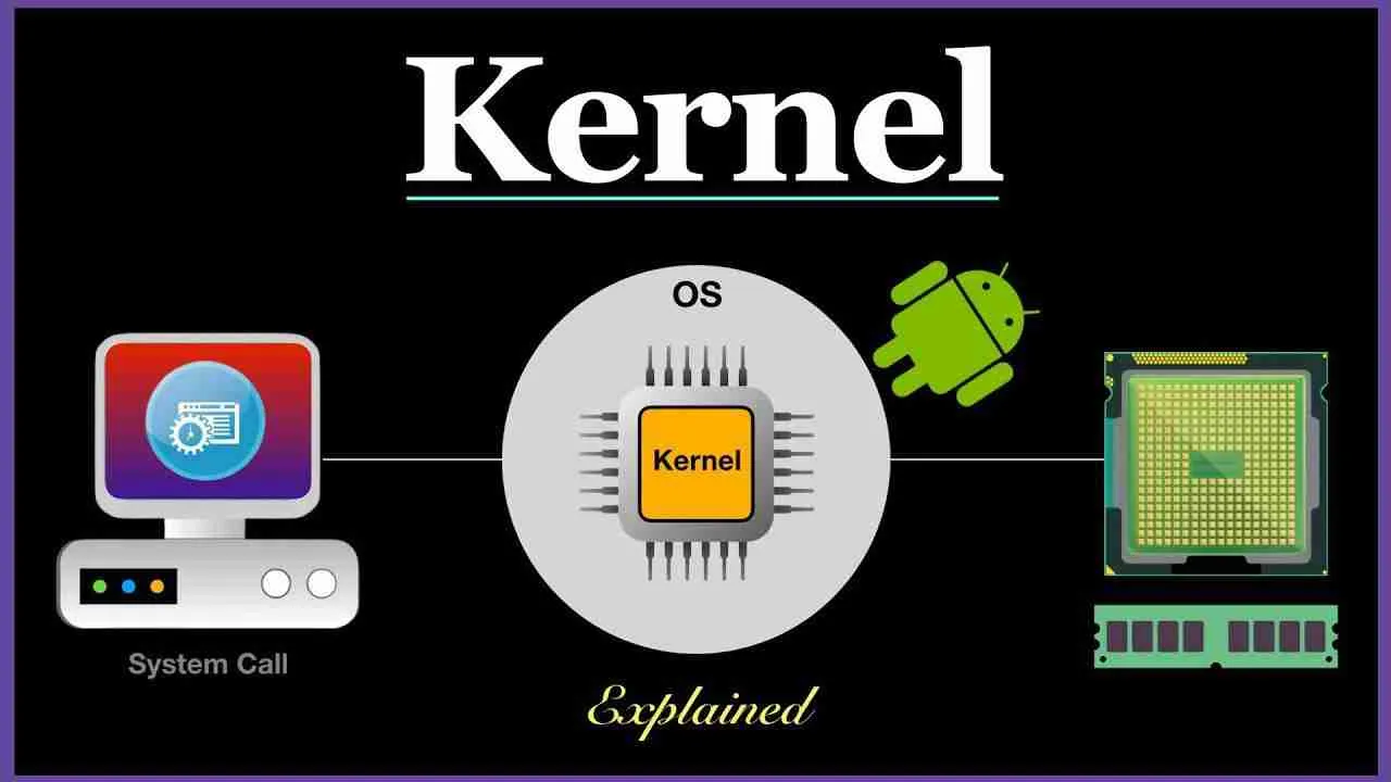 From⁤ Kernel to Powder: ​The Milling Process‌ Explained