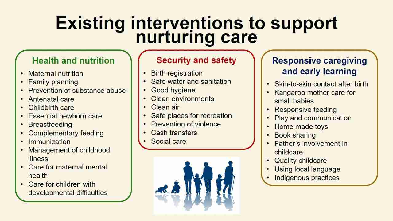 Unlocking the Art of Maize Milling: Techniques and Trends 4 Nurturing Quality: Best Tips for Optimal Maize Processing