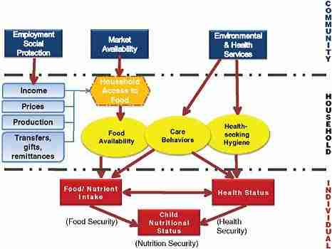 From Grain to Breakfast: The Art and Science of Cereal Milling 3 Nutritional Impacts: What You Need to Know About Cereal Ingredients