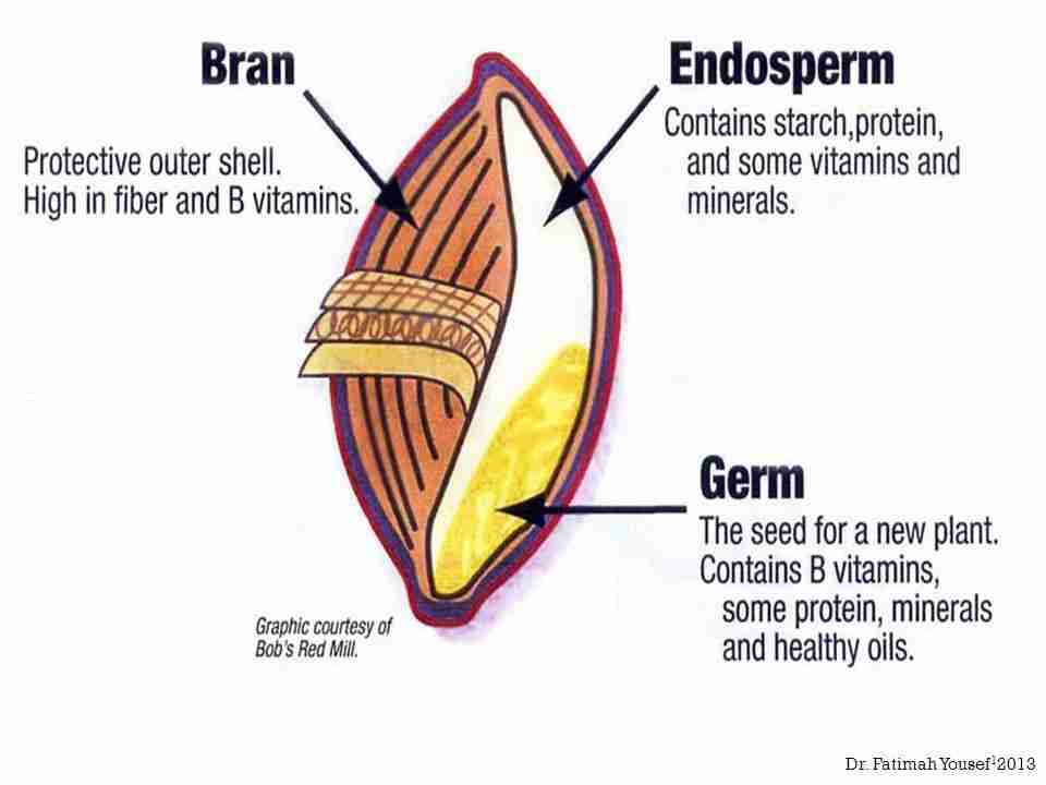 Grain to Grind: The Art and Science of Cereal Milling 1 Understanding Grain Composition and Its Impact on Milling Techniques