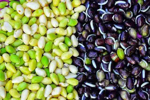 The Art of Maize Milling: Unlocking the Potential of Corn 4 Exploring Innovative Uses for Maize By-products