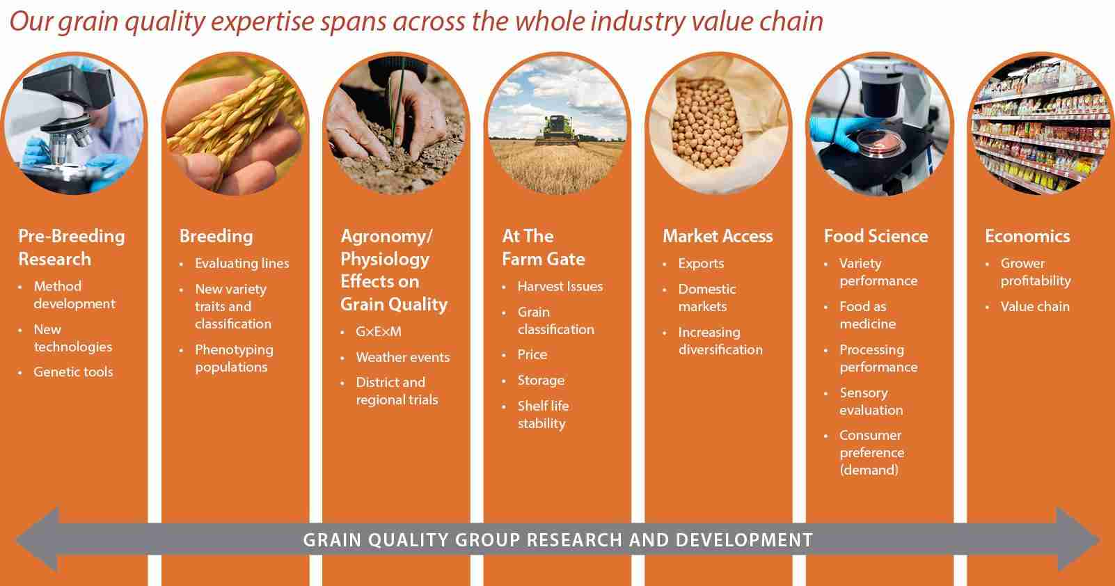 Unlocking the Secrets of Maize Milling: A Comprehensive Guide 3 Key Factors Influencing Grain Quality and Yield