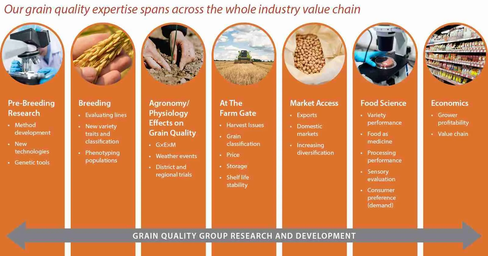 Unlocking the Secrets of Maize Milling: A Comprehensive Guide 3 Key Factors Influencing Grain Quality and Yield