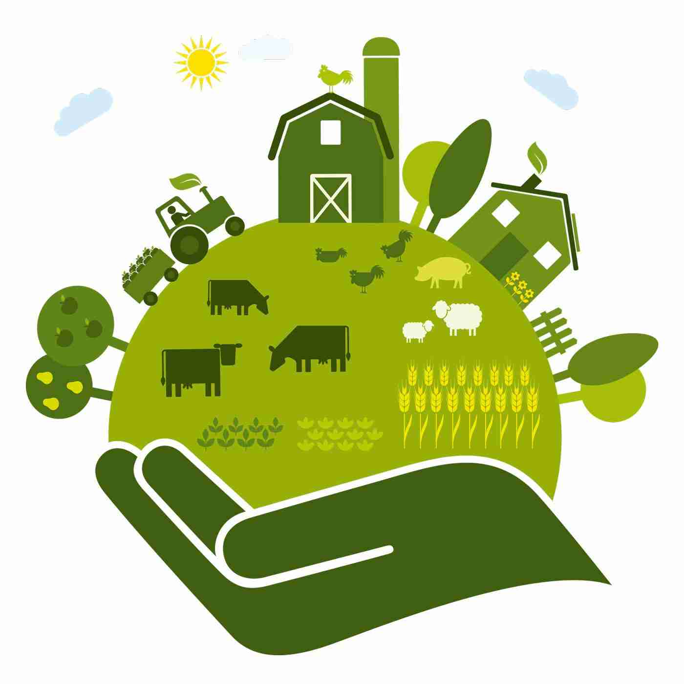 Unlocking Efficiency: The Rise of Portable Rice Milling Machines 3 Sustainable Solutions: Economic and Environmental Benefits of Mobility