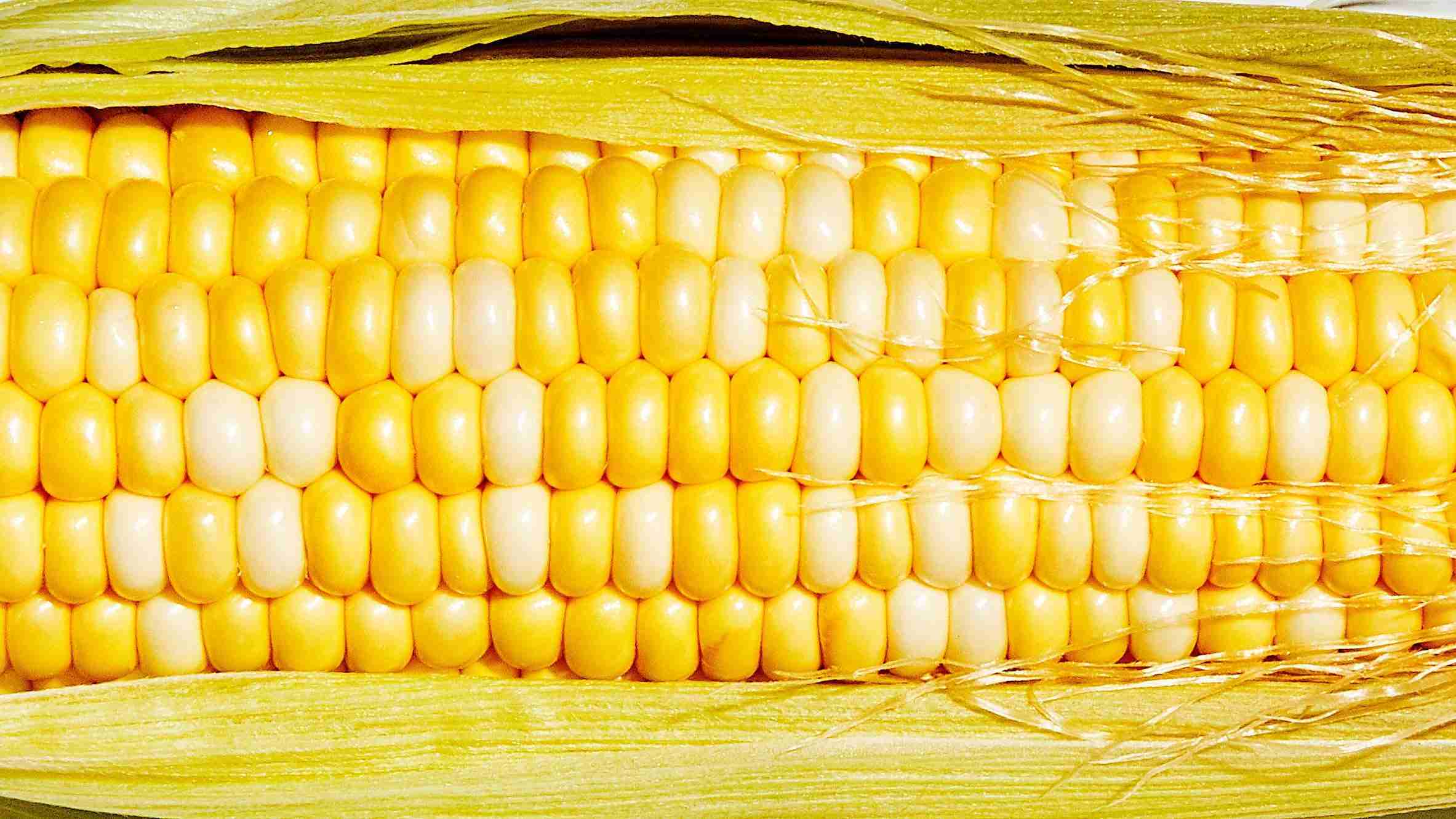 From Kernels to Creations: The Art of Corn Processing 1 The Journey of Corn: Understanding Its Varieties and Nutritional Benefits