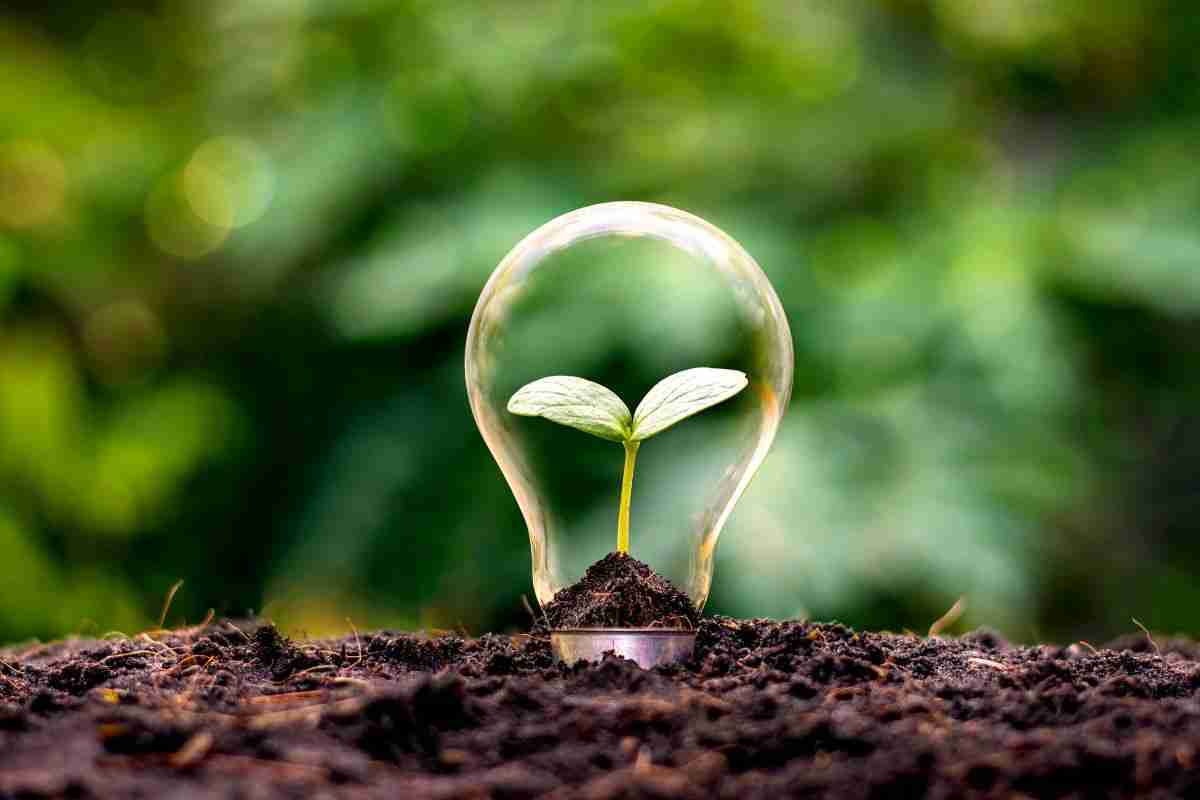 Revolutionizing Grain Processing: The Mini Rice Mill Solution 3 Sustainable Practices in Grain Processing