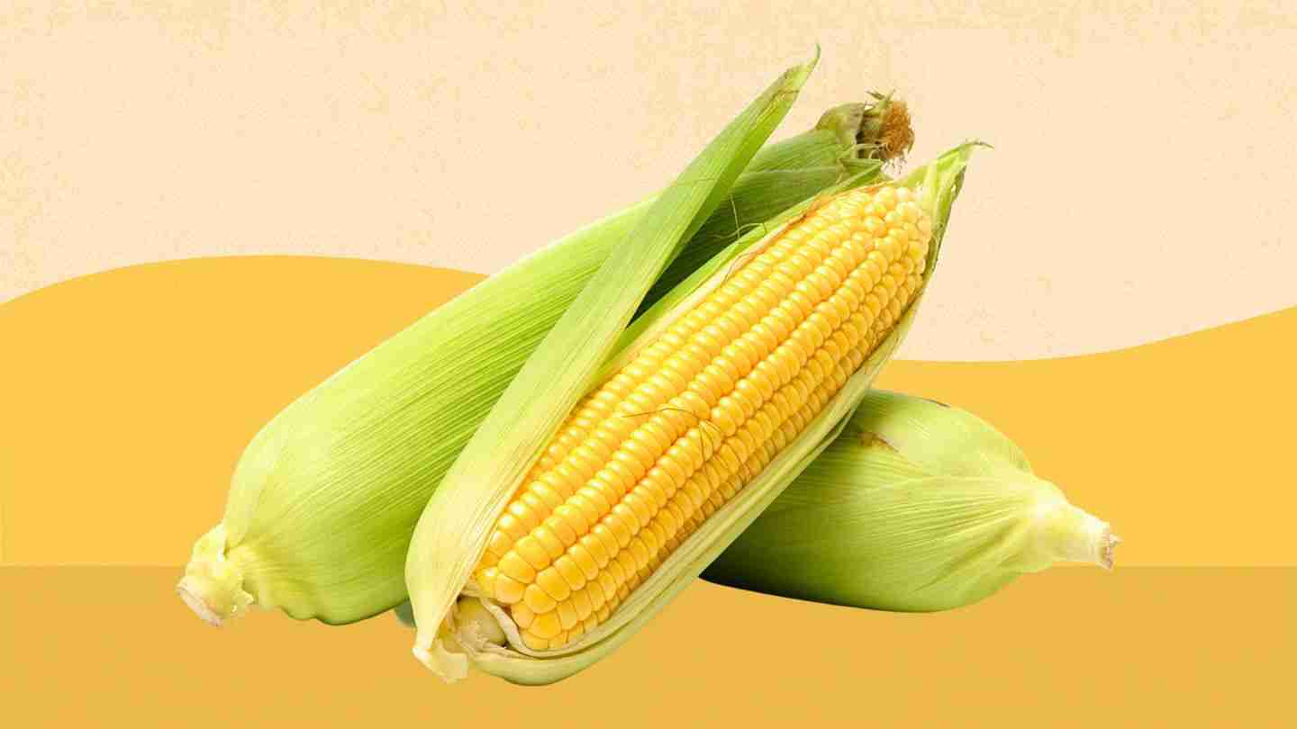 Transforming Kernels: The Art and Science of Corn Processing 1 Unveiling the Versatility of Corn: A Deep Dive into Kernel Varieties