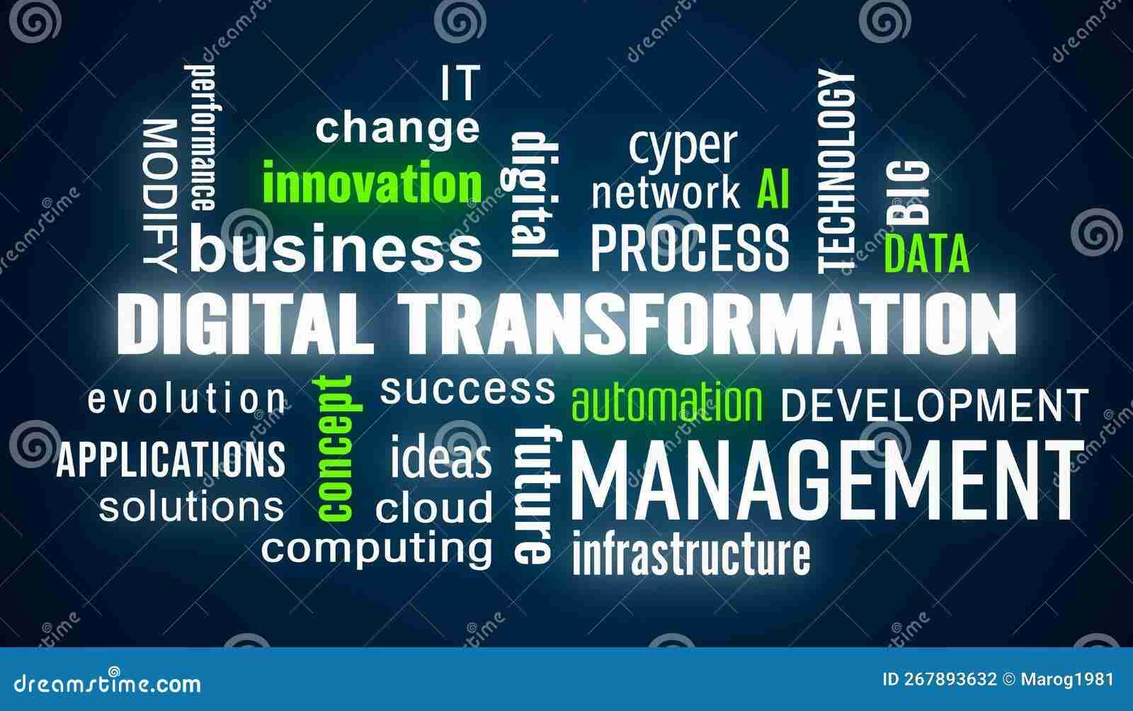Transforming Grain: The Journey Through a Modern Rice Mill