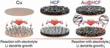 Unlocking Efficiency: The 5 Ton Rice Mill Revolution