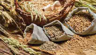 Revolutionizing Grain Processing: The Rise of Industrial Rice Milling