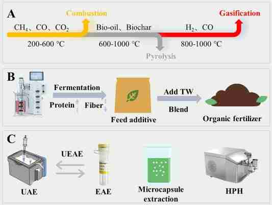 Unlocking Efficiency: The Power of a 5-Ton Rice Mill